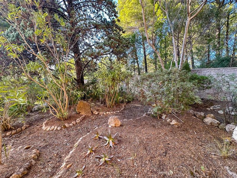 Foto 1c4fe951-905d-4c99-8382-cd6173651402. Casa en venta este gran chalet en Betlem en Betlem Artà
