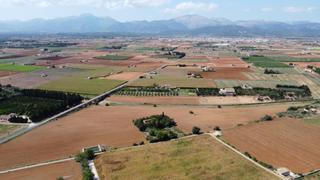 Finca rústica a Muro. Se vende gran finca en muro