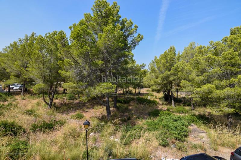 Foto 31de42a9-f7b8-45e8-97df-1163fbe50d79. Apartament amb piscina a Betlem Artà