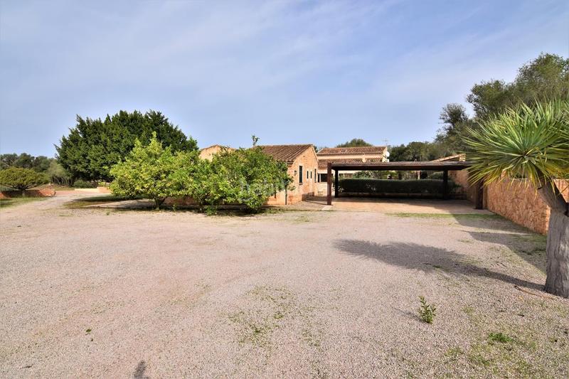 Foto 28d3722e-5f1a-472a-9d19-121b26da3871. Lloguer finca rústica a Artà poble Artà