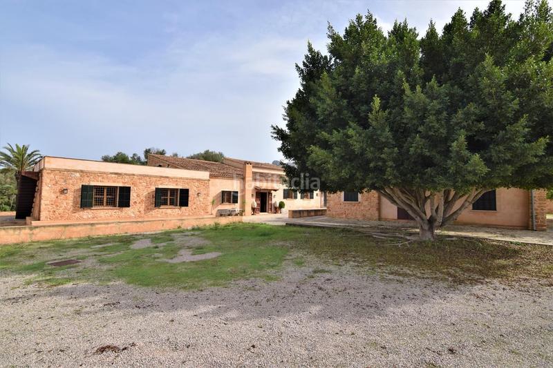 Foto 75a1ad9e-78f7-43f1-b564-4bed23f75f35. Lloguer finca rústica a Artà poble Artà