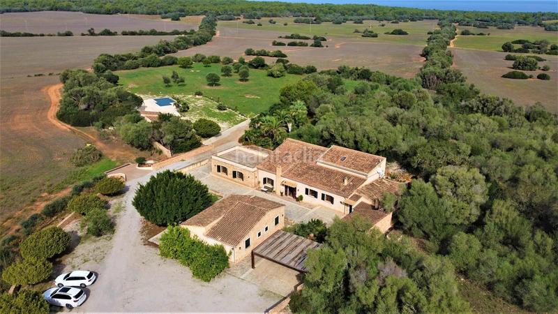 Foto ab36279b-1067-45b5-8179-1f6312216e91. Lloguer finca rústica a Artà poble Artà