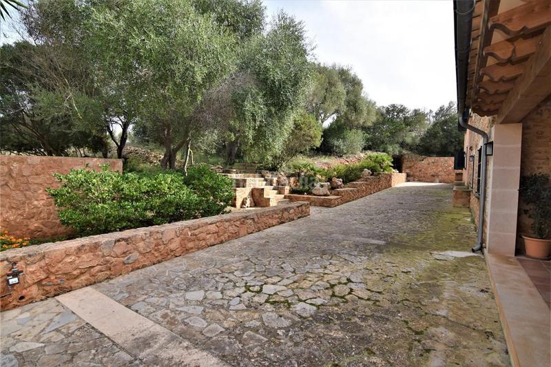 Foto be85ba05-c4c0-4f07-b6dc-81ff77f052cc. Lloguer finca rústica a Artà poble Artà