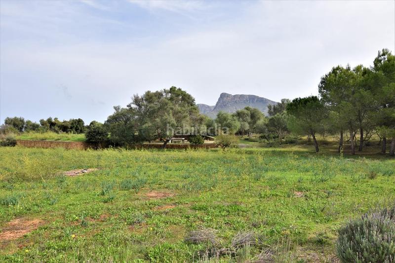 Foto f9a27c95-eb1b-4f68-b728-a275291a1f6a. Lloguer finca rústica a Artà poble Artà