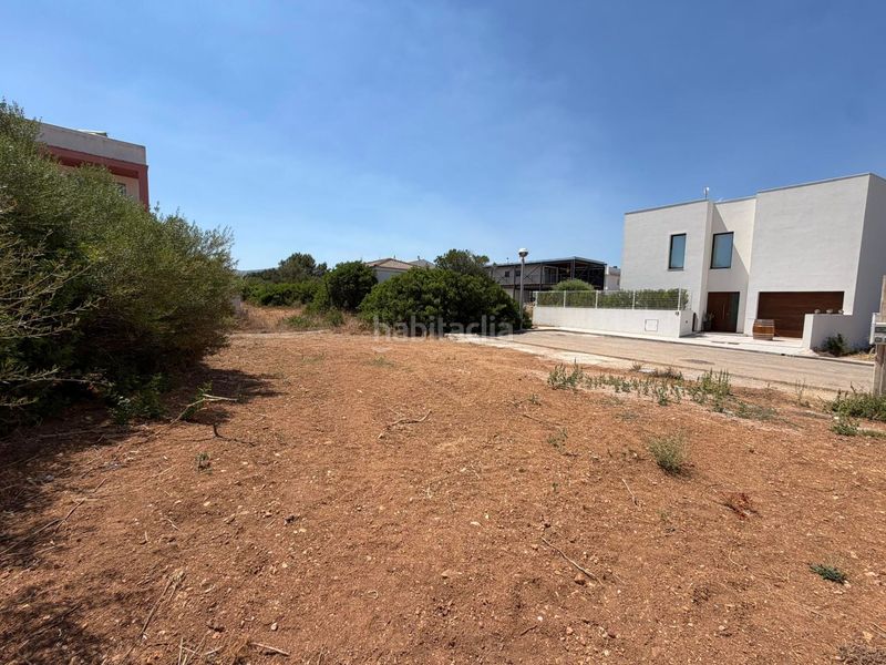 Foto d73bbb32-bd20-4753-8a04-96f4e477228c. Terreny residencial a S´Estanyol Artà
