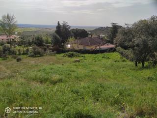 Terreno residenziale in Pino Alto-Navarredonda. Parcela urbana valdemorillo