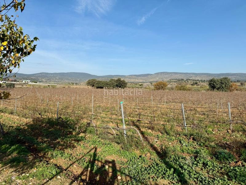 Foto 85c9d3cd-657f-4de8-a6a4-3ac50681645a. Bauernhof in Villa del Prado