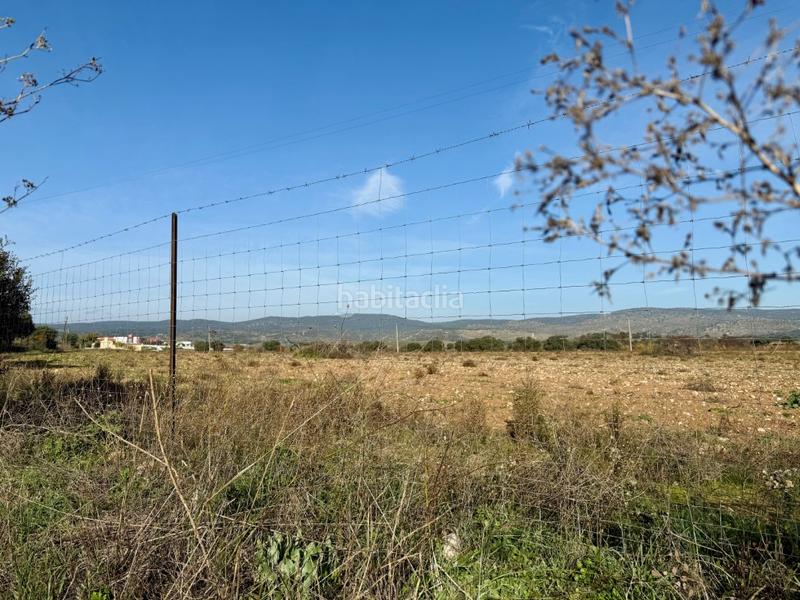 Foto 8b6923af-1aa0-4f9e-9eb4-775d38ced760. Bauernhof in Villa del Prado