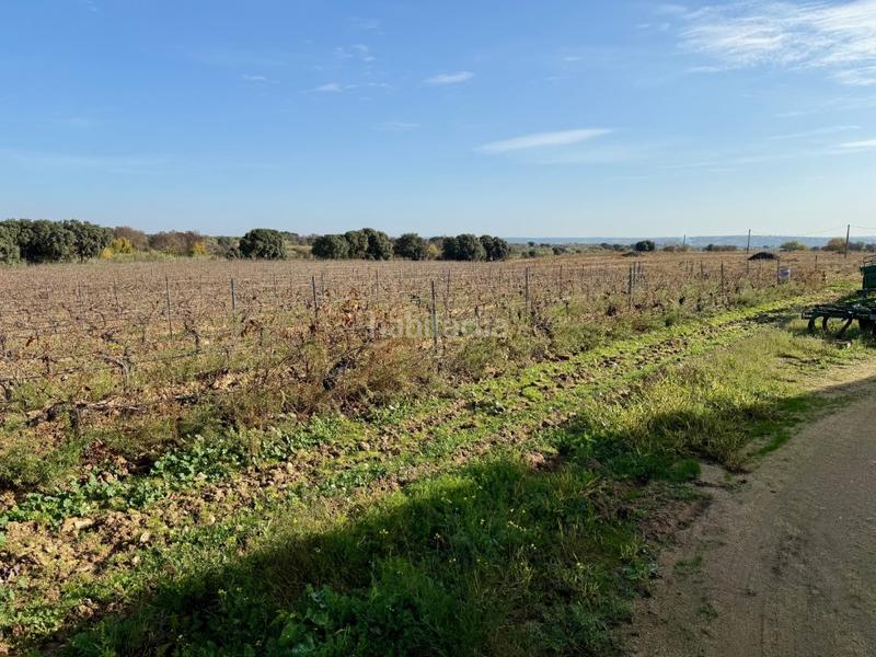 Foto 9265866d-5e0f-45ac-bfa7-2e506b8a61f6. Bauernhof in Villa del Prado