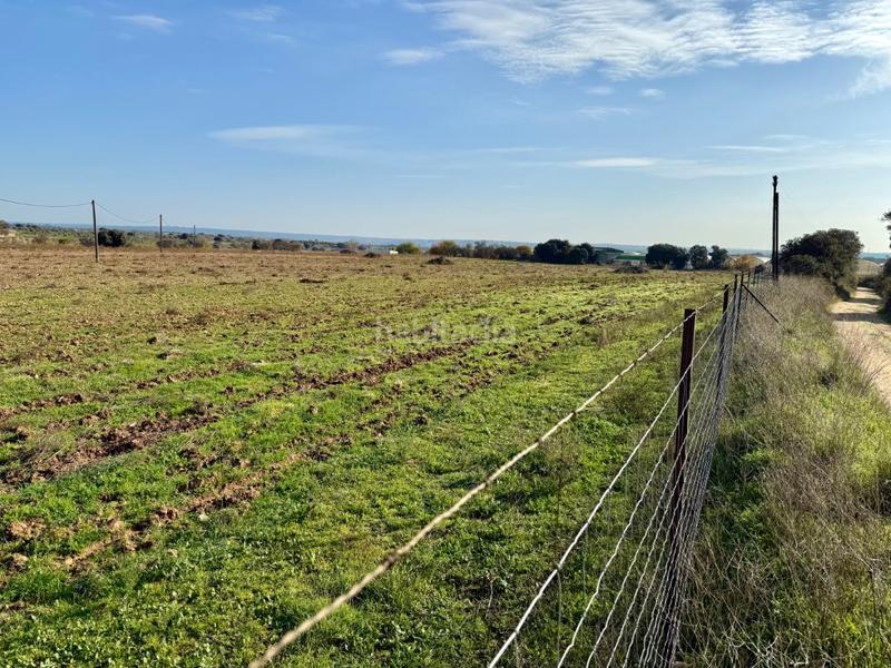 Foto d14051df-63a6-4170-89d7-7de103900b7c. Bauernhof in Villa del Prado