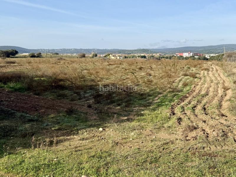 Foto eee31c3e-959c-4695-8c48-ac609e520148. Bauernhof in Villa del Prado