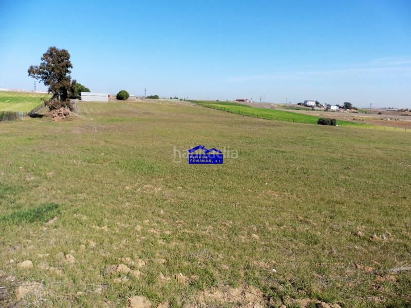 Foto 46471eb4-8beb-42c2-a197-2ef09f98cd42. Casale in camino de valdecobachos 153 in Urb. Calypo Navalcarnero