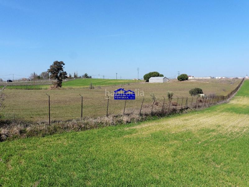 Foto 574ae8a8-329c-45b9-affc-2b63221ebaea. Casale in camino de valdecobachos 153 in Urb. Calypo Navalcarnero