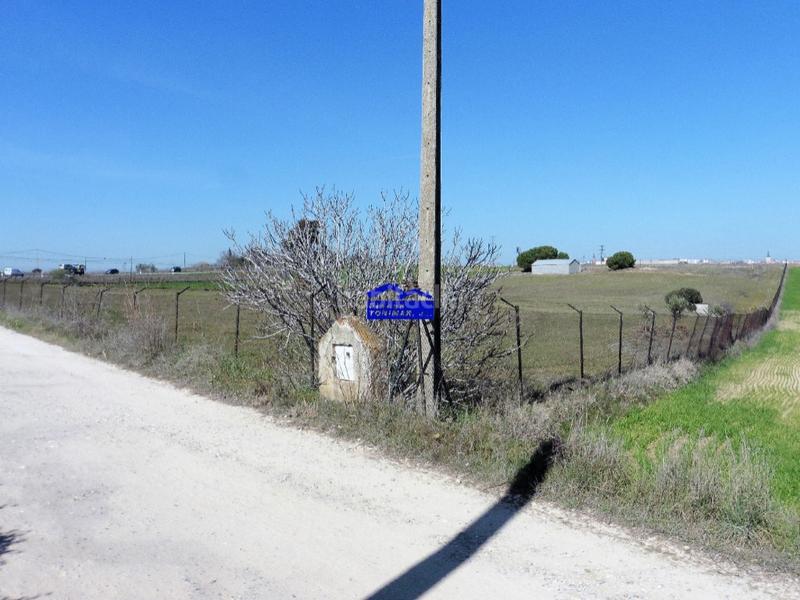 Foto 8f5ef1a9-ac04-4f5d-b970-a3aec7e112bc. Casale in camino de valdecobachos 153 in Urb. Calypo Navalcarnero