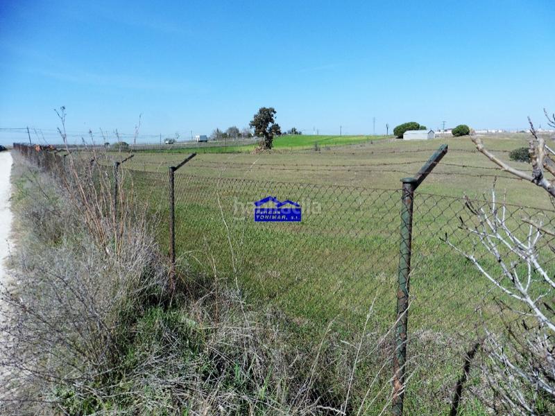 Foto 9ab41ff6-eccd-4b5f-a73b-1f7f38dd1264. Casale in camino de valdecobachos 153 in Urb. Calypo Navalcarnero