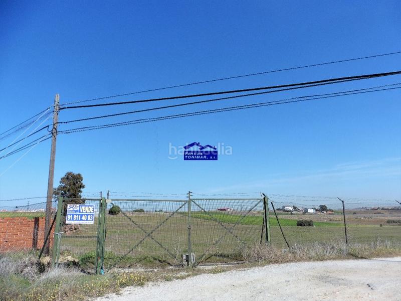 Foto ba3b108e-5ab9-4f64-9db6-c8ec898bfdf0. Casale in camino de valdecobachos 153 in Urb. Calypo Navalcarnero