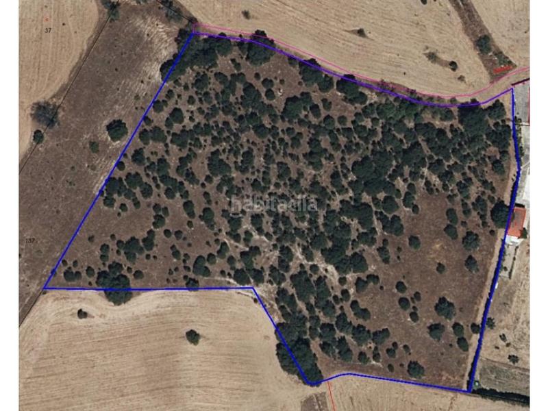 Foto 0c977669-048b-43d9-ae8b-9e7cdab6b5ff. House in La Dehesa - El Pinar Navalcarnero