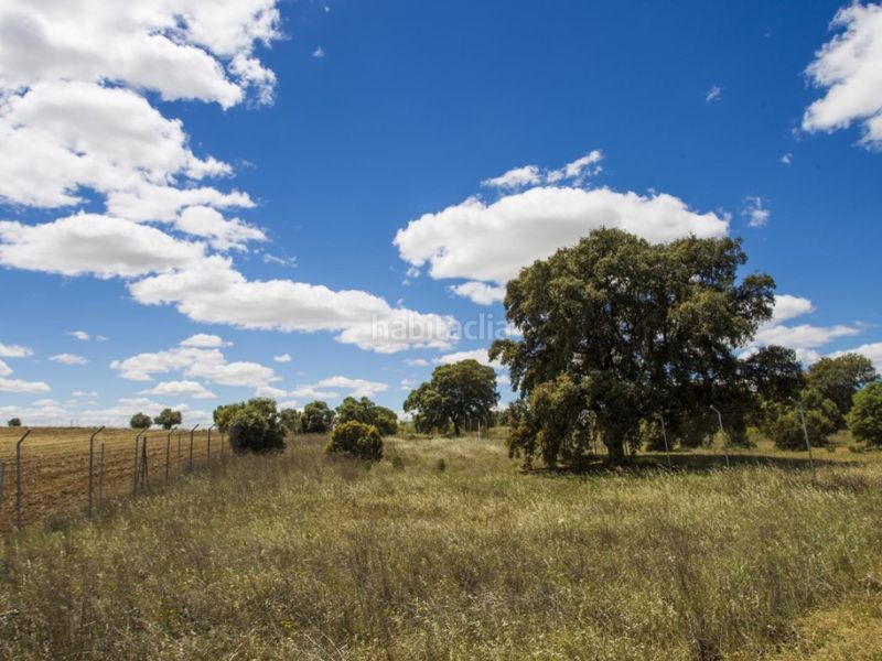 Foto 0252c8e0-83e9-49e4-858a-615bb1152fb4. Masia a La Dehesa - El Pinar Navalcarnero
