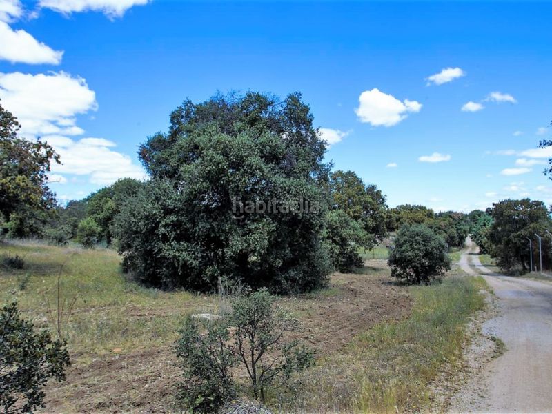 Foto 028ebb4c-ab3e-4350-87cc-1d68c5e06967. Masia a La Dehesa - El Pinar Navalcarnero