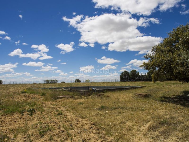 Foto 05396621-1e8c-437e-9c65-2e89b8989df4. Masia a La Dehesa - El Pinar Navalcarnero