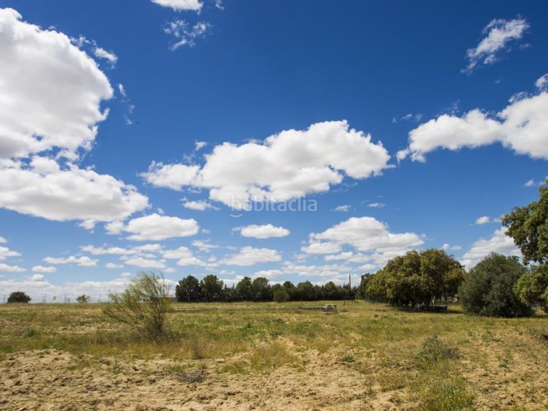 Foto 0b209a50-a5b5-4a28-983e-5126ef1bab89. Masia a La Dehesa - El Pinar Navalcarnero