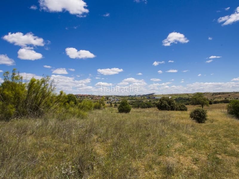 Foto 273de5ee-2c81-4c96-b255-e8e87379b453. Masia a La Dehesa - El Pinar Navalcarnero