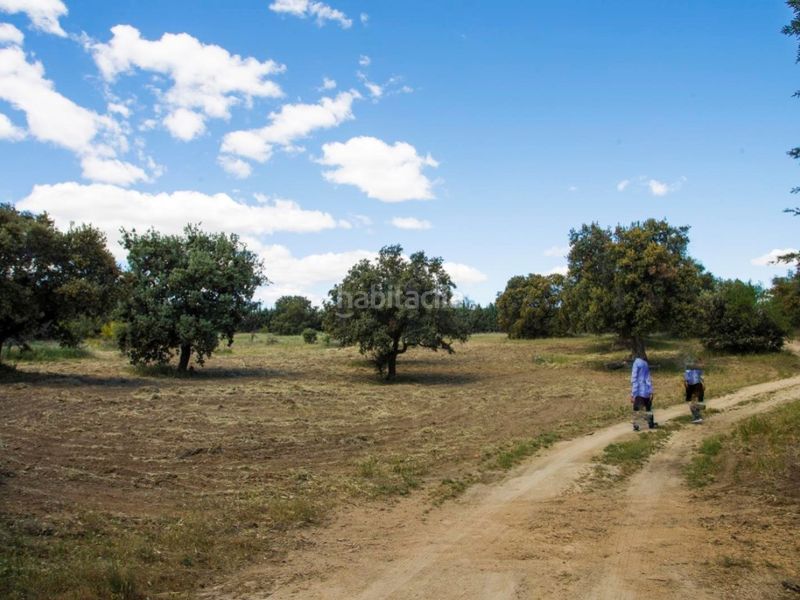 Foto 3111dcc7-885b-496a-b651-c612f6d0bcba. Masia a La Dehesa - El Pinar Navalcarnero