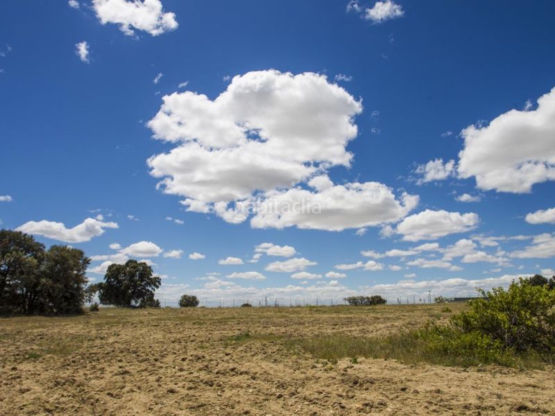 Foto 505ebe5b-aa91-49cd-bd3a-924990592365. Masia a La Dehesa - El Pinar Navalcarnero