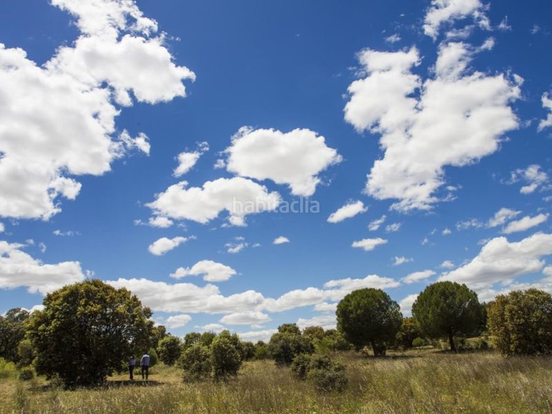 Foto 63b46507-6991-4afa-bce9-c1cd013e149e. Masia a La Dehesa - El Pinar Navalcarnero