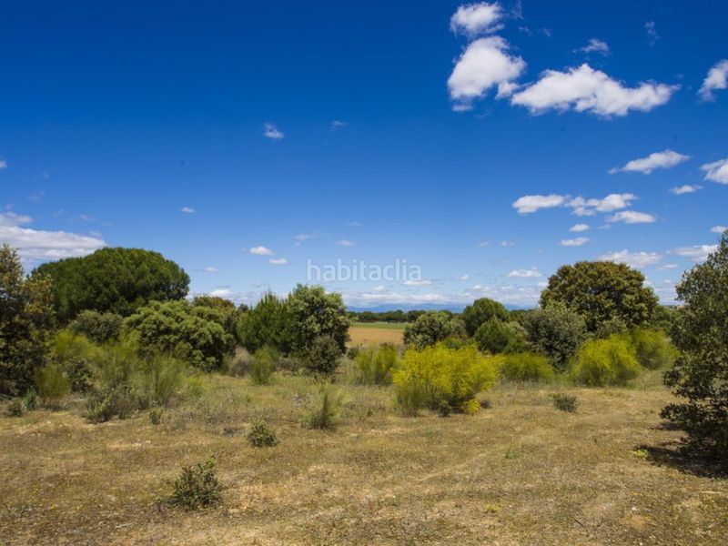 Foto 6c199640-e9ce-4515-a401-373c071338a6. Masia a La Dehesa - El Pinar Navalcarnero