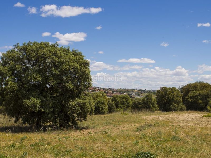 Foto 6c247775-2342-4027-82a1-5ab72d83a75b. Masia a La Dehesa - El Pinar Navalcarnero