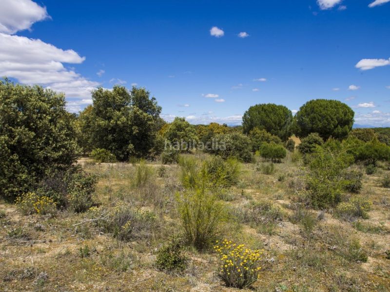 Foto 73845c00-8769-4aa4-9b41-be1716edf229. Masia a La Dehesa - El Pinar Navalcarnero