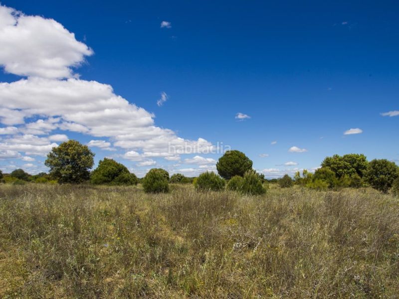 Foto 90aeaf4a-65ab-4e8e-8d42-a73572e0c89c. Masia a La Dehesa - El Pinar Navalcarnero