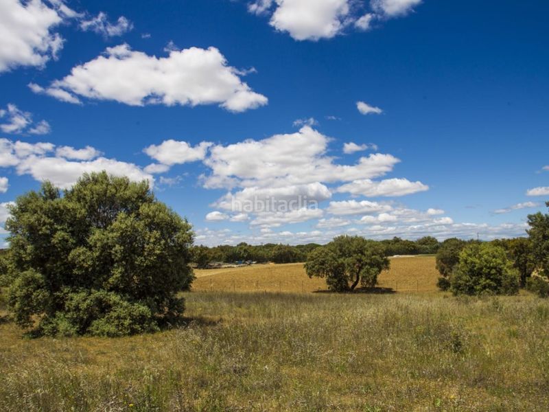 Foto a424a860-fa4d-4841-8331-0ae885917493. Masia a La Dehesa - El Pinar Navalcarnero