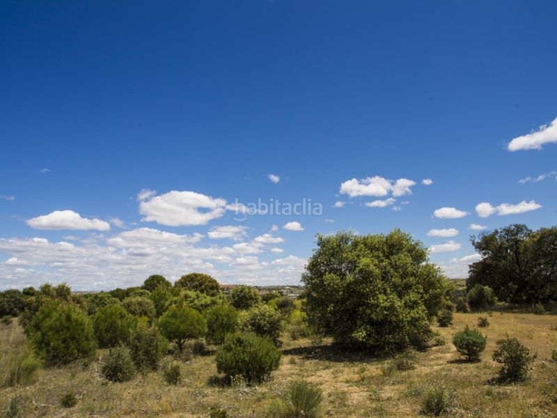 Foto ab0e8d2b-005c-4557-95b9-9caf088bfa4f. Masia a La Dehesa - El Pinar Navalcarnero