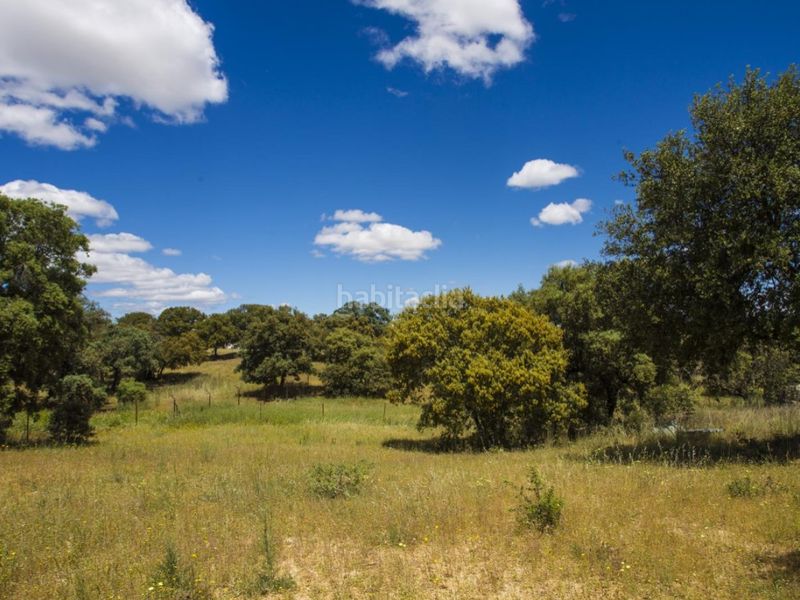 Foto acff1d82-9f21-4c4a-a6fb-1116e73625af. Masia a La Dehesa - El Pinar Navalcarnero