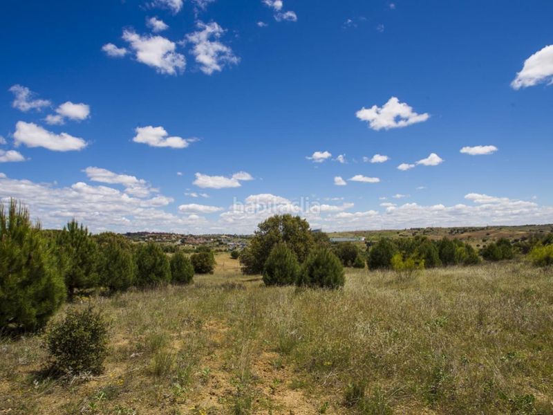 Foto d7893486-9d34-4558-b519-4a056e4eba9a. Masia a La Dehesa - El Pinar Navalcarnero