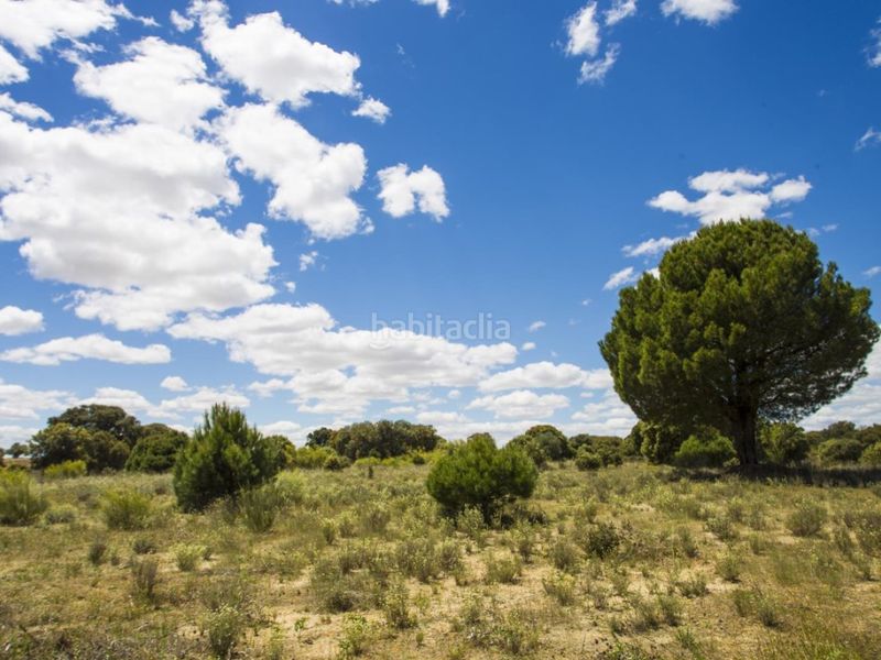 Foto da369ab8-663f-44cf-bb20-5193e330cdd6. Masia a La Dehesa - El Pinar Navalcarnero