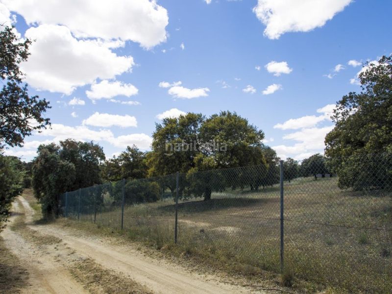 Foto fb2c49c0-32da-45bd-812f-52b897031663. Masia a La Dehesa - El Pinar Navalcarnero