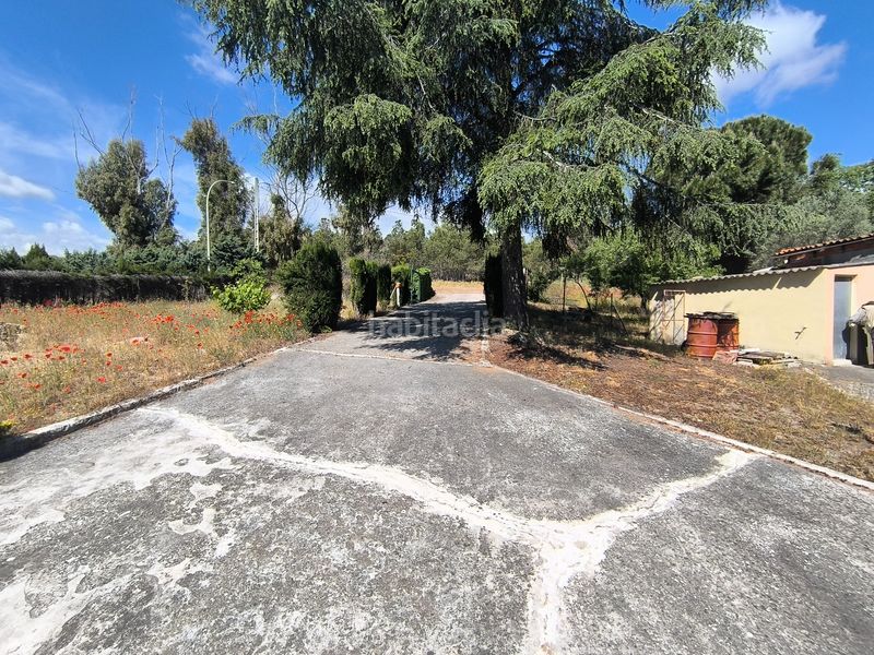 Foto a602feb2-2085-49d5-8ff9-91220d38e6c1. Fondo rustico in diseminado viejo madrid cm 14 in Molar (El)
