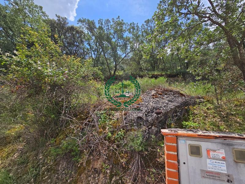 Foto 17364b39-6a65-439e-aa1d-83ea87a7877a. Terreno residencial parcela en venta en Guadalix de la Sierra