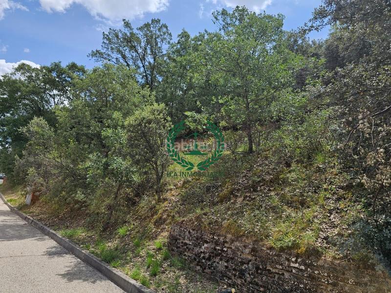 Foto 8c2ec113-9e23-4d09-81d7-85f5524f81ed. Terreno residencial parcela en venta en Guadalix de la Sierra