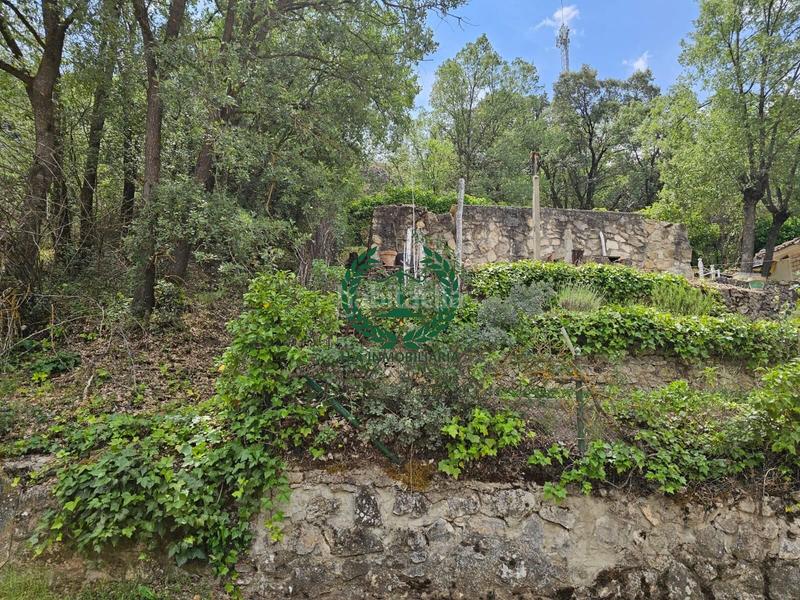 Foto bcb35612-7631-46e0-9916-d1f5016828ee. Terreno residencial parcela en venta en Guadalix de la Sierra