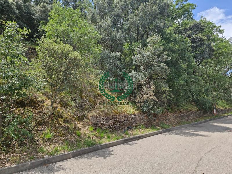 Foto c288636b-5269-4faf-8bf2-fea6624af0e8. Terreno residencial parcela en venta en Guadalix de la Sierra