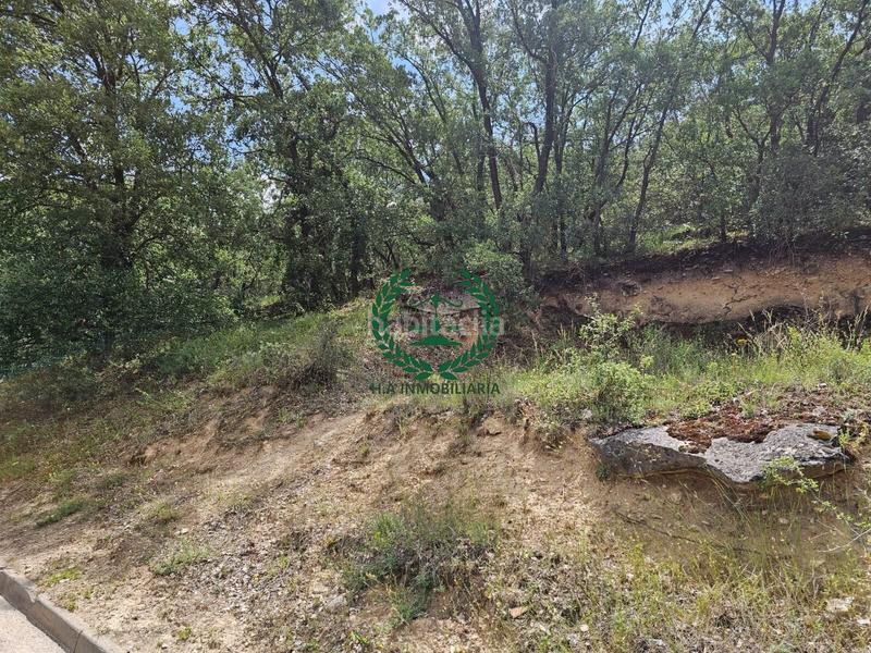 Foto c3d681c3-a25b-4ac9-88ca-ca1e5ef7ab74. Terreno residencial parcela en venta en Guadalix de la Sierra