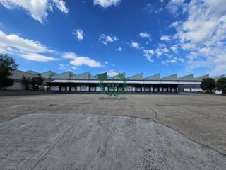 Rent Industrial building in San Agustín de Guadalix. Alquiler de nave 3.650 m2 junto a colmenar viejosan agustin de g