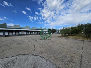 Location Bâtiment à usage industriel à Zona Industrial. Alquiler de nave junto a colmenar viejo  3.650 m2 almacén  3.000