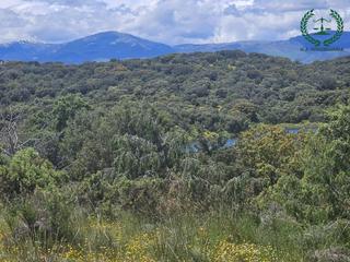 Finca rústica a Pedrezuela. Parcela en venta junto al pantano de pedrezuela