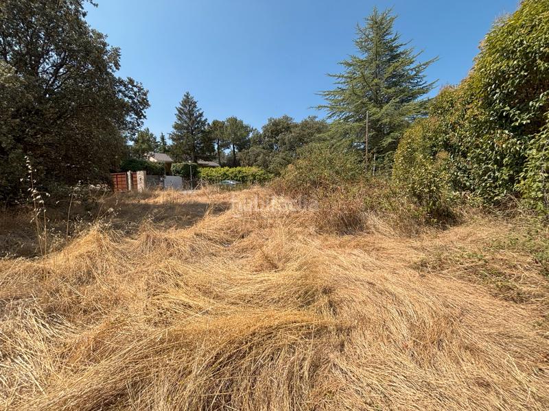 Foto a33de8eb-54f9-4e8b-b064-6c2989294b4a. Terreno residenziale in Alpedrete