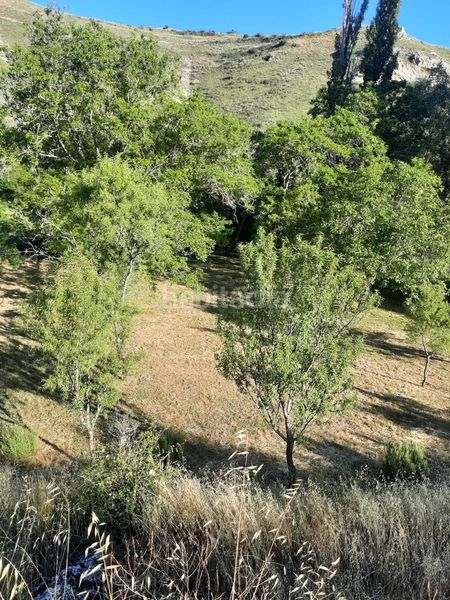 Foto e4e036c2-1f46-4421-948c-39c2878f1cc7. Finca rústica en Valle de Tabladillo